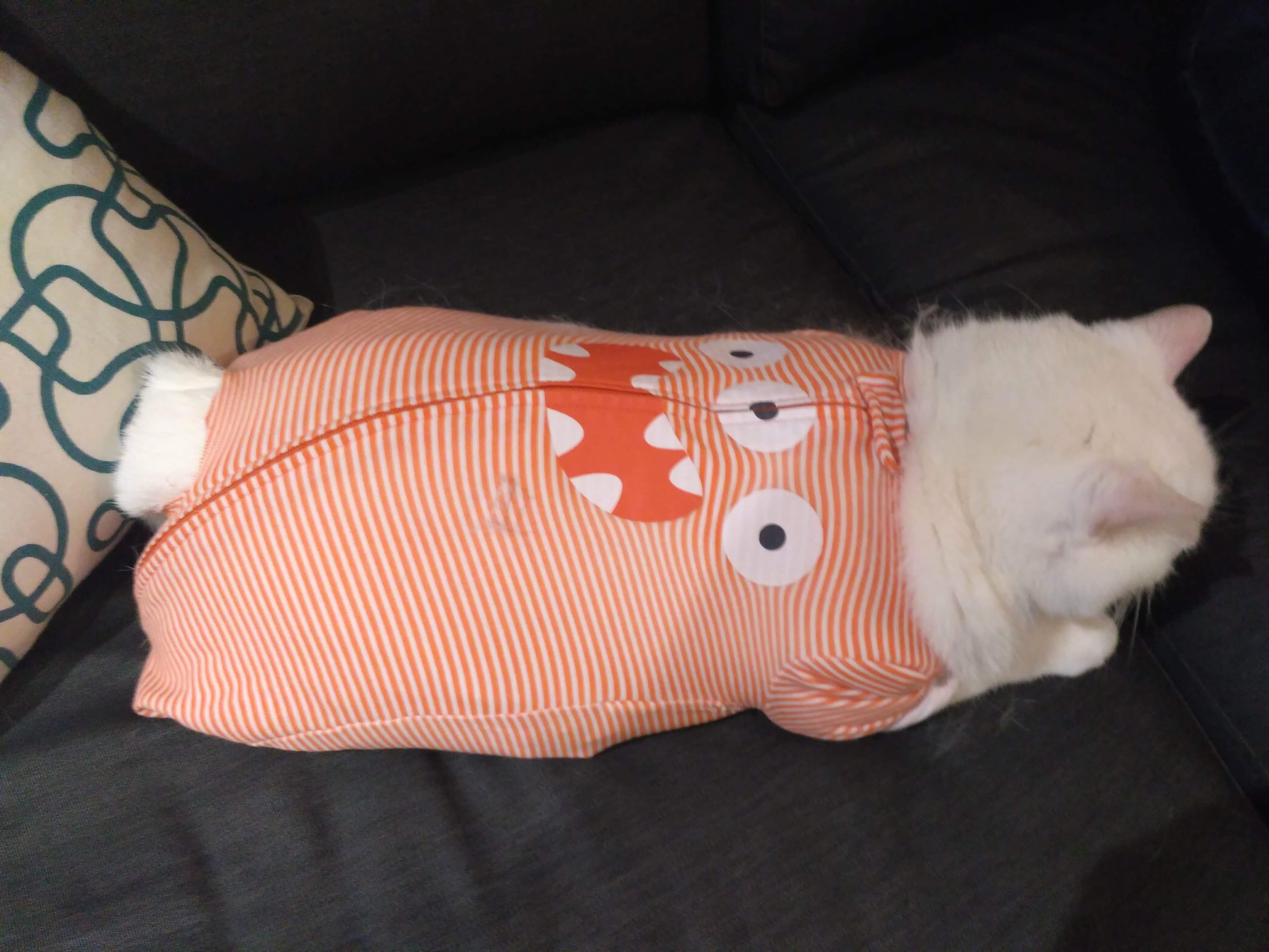 A large white cat in an infant's onesie.